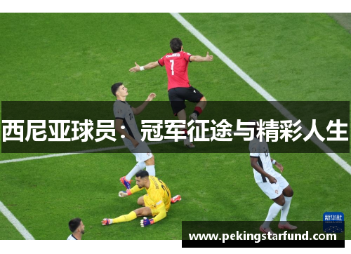 西尼亚球员：冠军征途与精彩人生