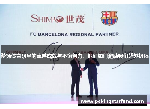 赞扬体育明星的卓越成就与不懈努力：他们如何激励我们超越极限